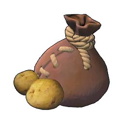 감자 종자