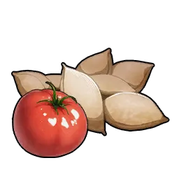 토마토 씨